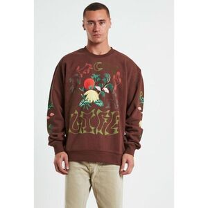 MARKET Life Cycle Crewneck Graphic Cotton Sweatshirt in Acorn Brown size S NWOT